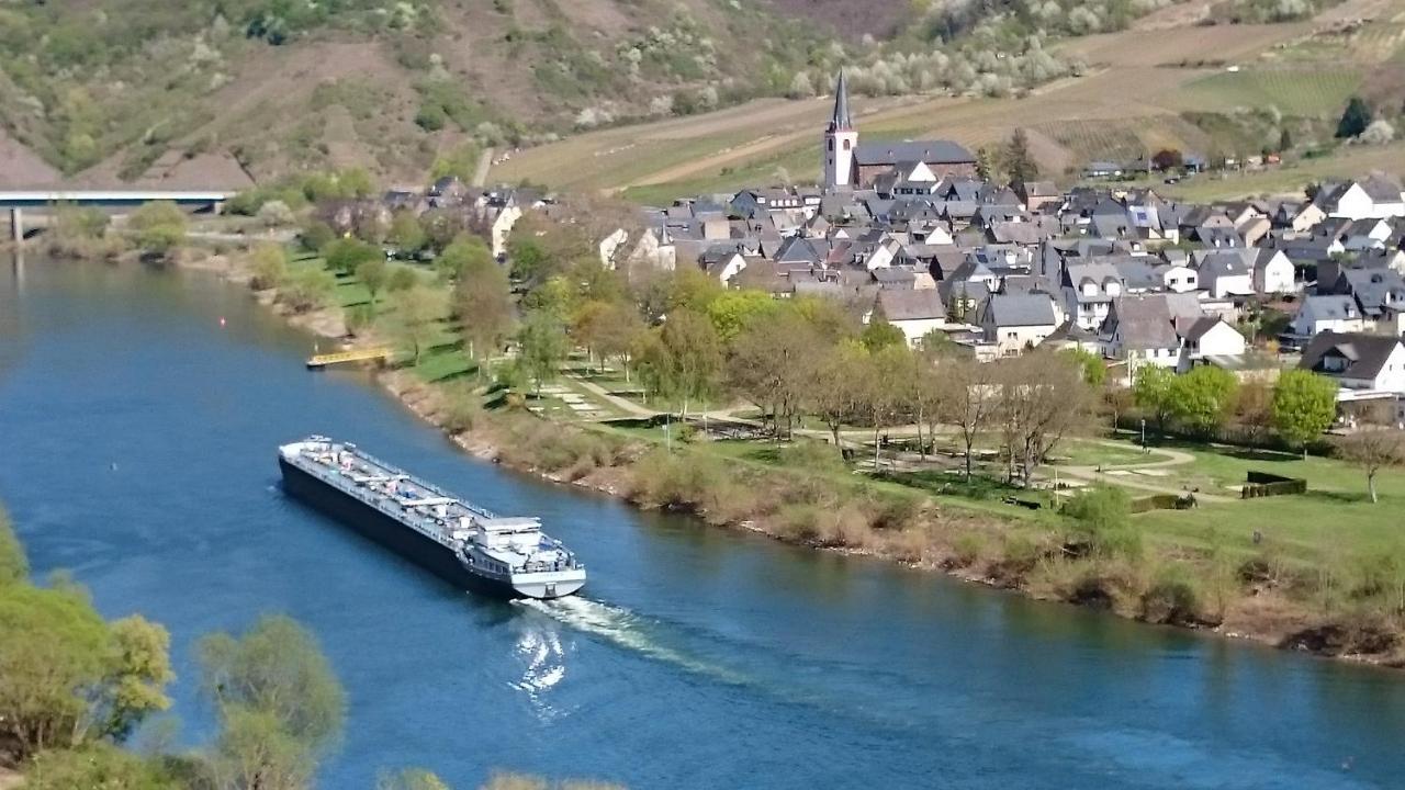 Ferienwohnungen Am Bruttiger Moselsteig ภายนอก รูปภาพ