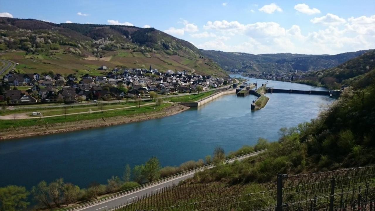 Ferienwohnungen Am Bruttiger Moselsteig ภายนอก รูปภาพ
