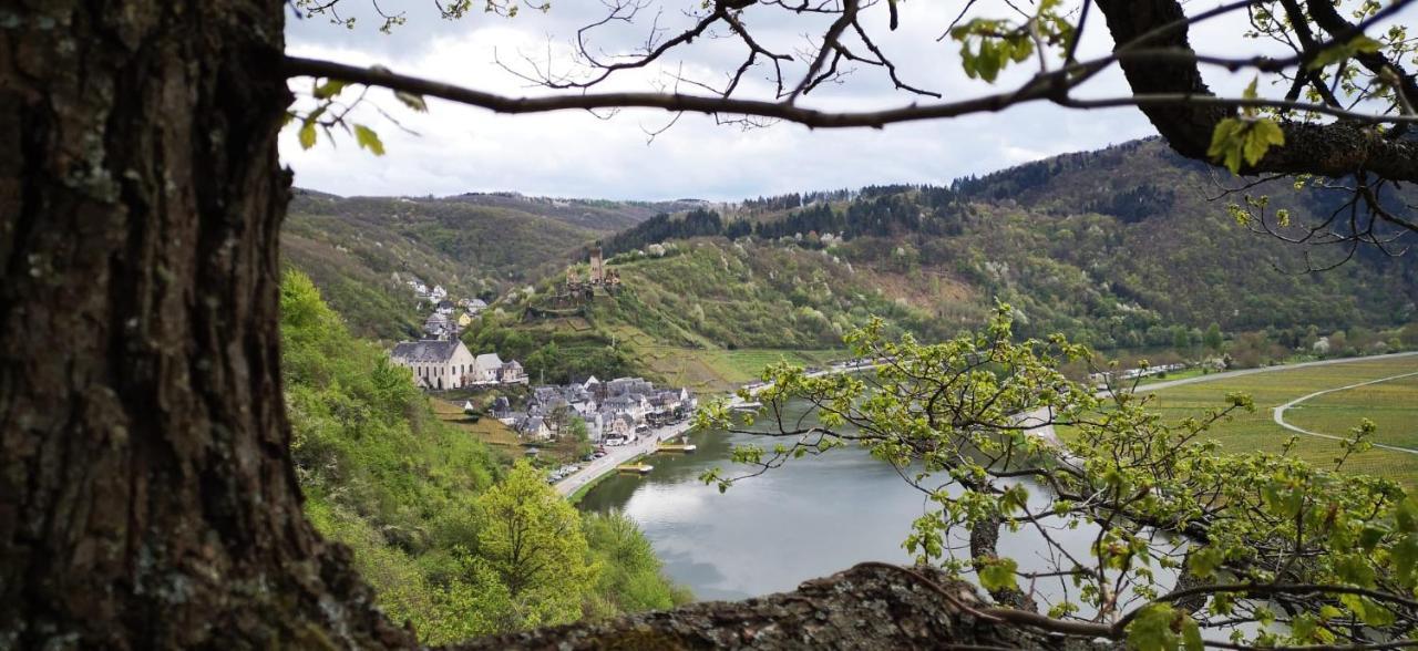Ferienwohnungen Am Bruttiger Moselsteig ภายนอก รูปภาพ