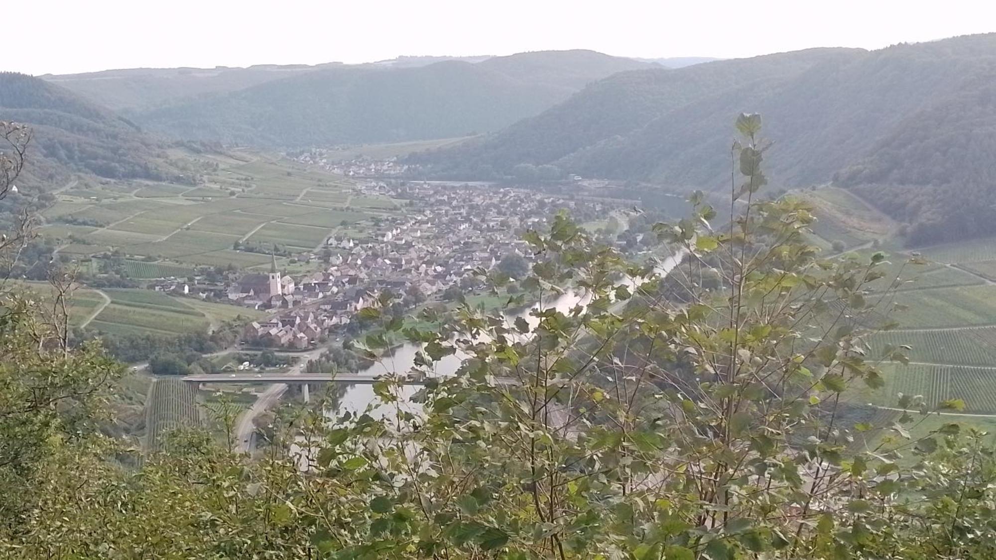 Ferienwohnungen Am Bruttiger Moselsteig ภายนอก รูปภาพ