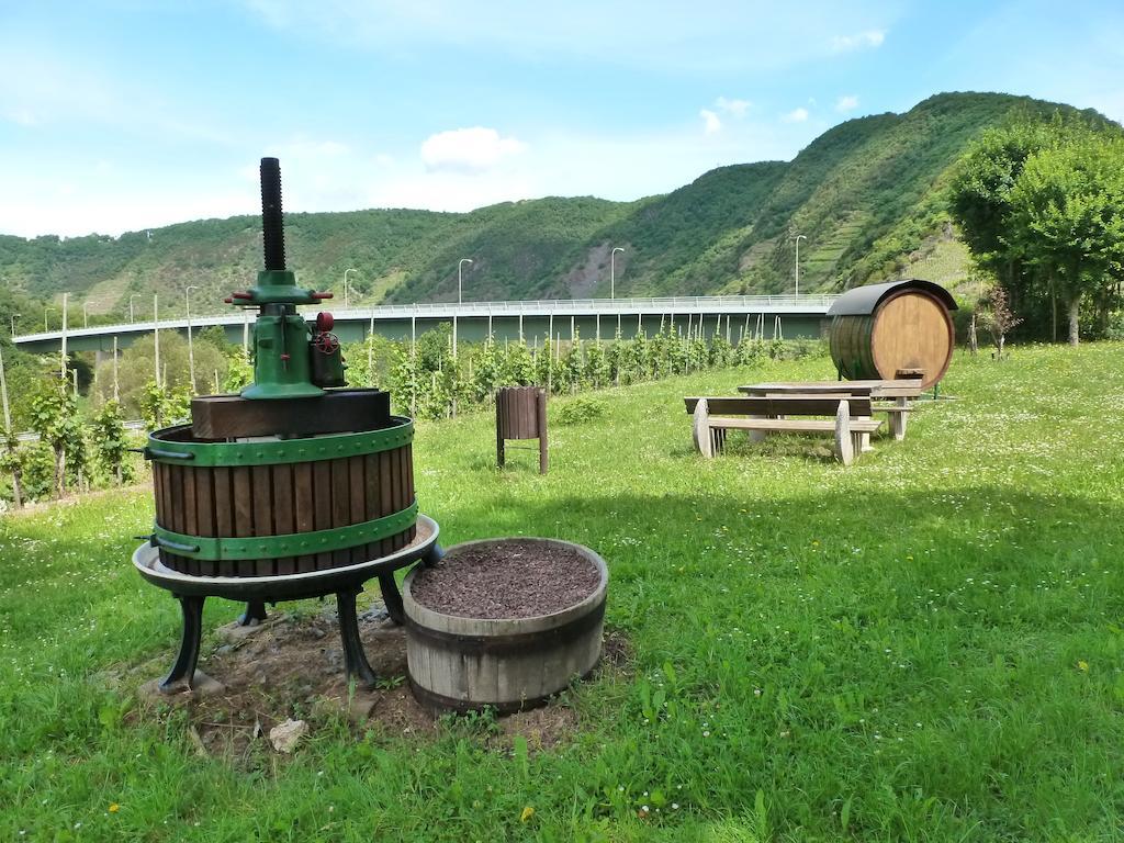 Ferienwohnungen Am Bruttiger Moselsteig ห้อง รูปภาพ