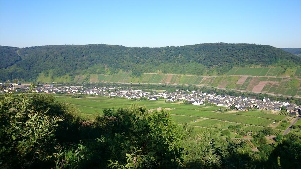 Ferienwohnungen Am Bruttiger Moselsteig ภายนอก รูปภาพ