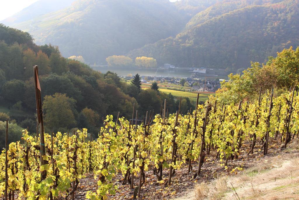 Ferienwohnungen Am Bruttiger Moselsteig ภายนอก รูปภาพ