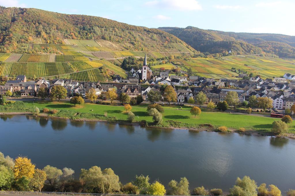 Ferienwohnungen Am Bruttiger Moselsteig ภายนอก รูปภาพ