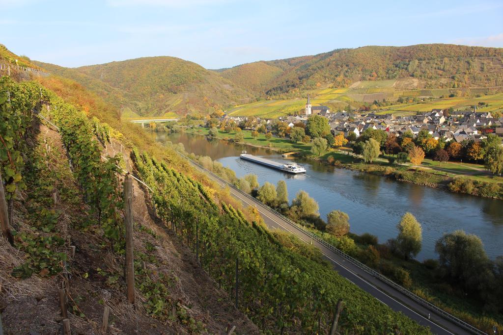 Ferienwohnungen Am Bruttiger Moselsteig ภายนอก รูปภาพ
