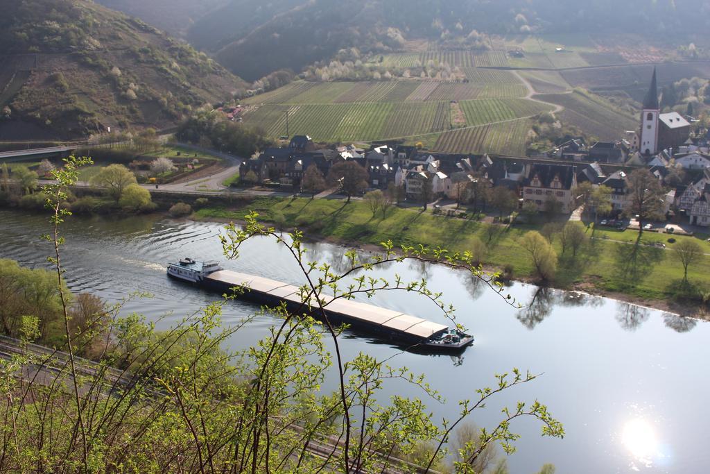 Ferienwohnungen Am Bruttiger Moselsteig ภายนอก รูปภาพ