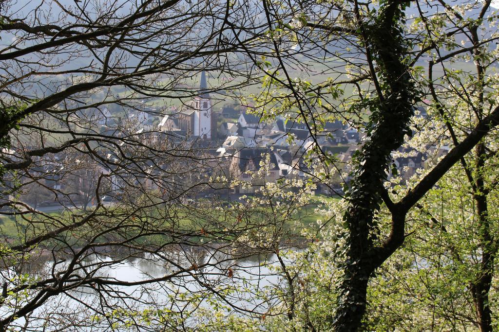 Ferienwohnungen Am Bruttiger Moselsteig ภายนอก รูปภาพ