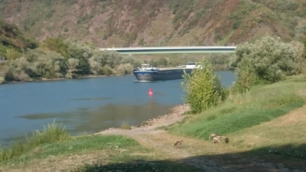 Ferienwohnungen Am Bruttiger Moselsteig ภายนอก รูปภาพ