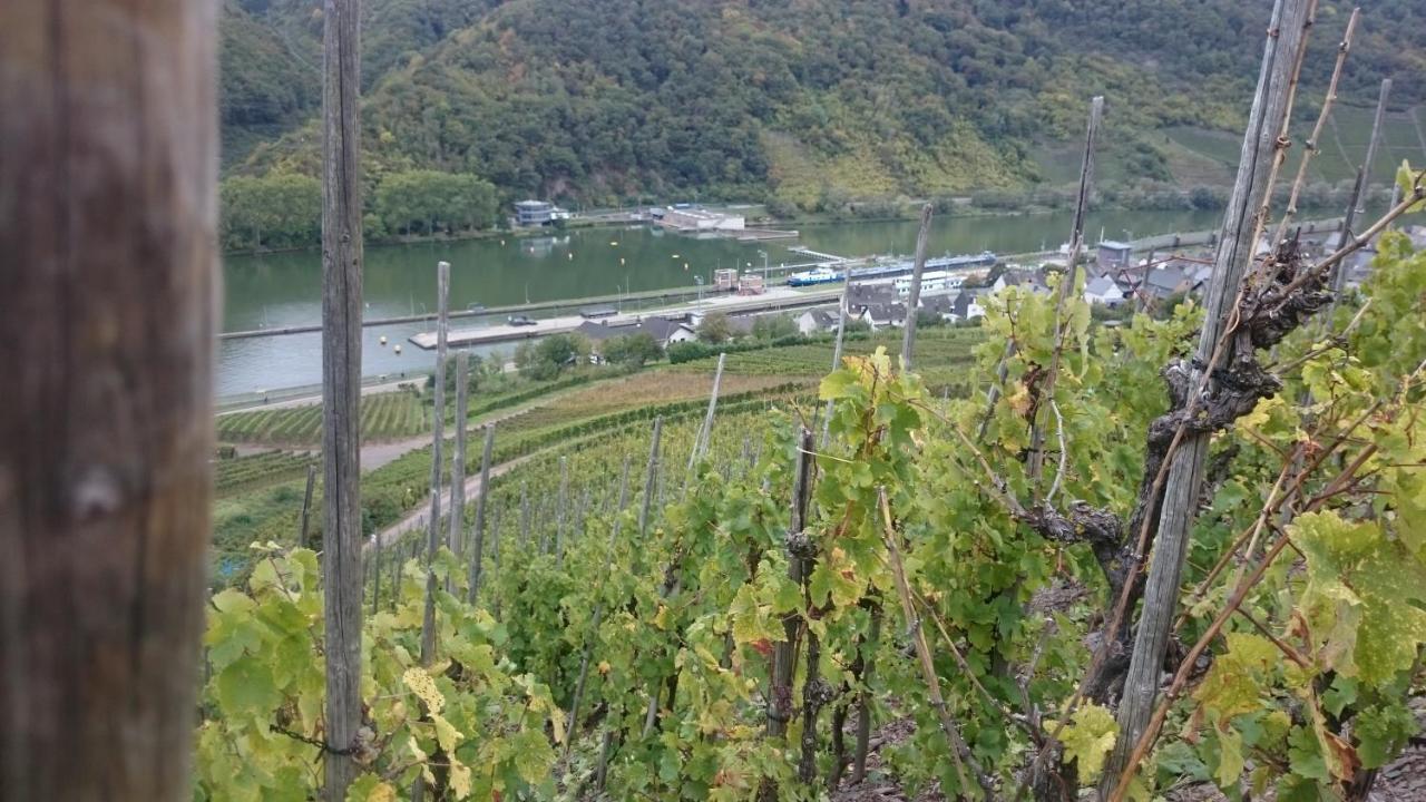 Ferienwohnungen Am Bruttiger Moselsteig ภายนอก รูปภาพ
