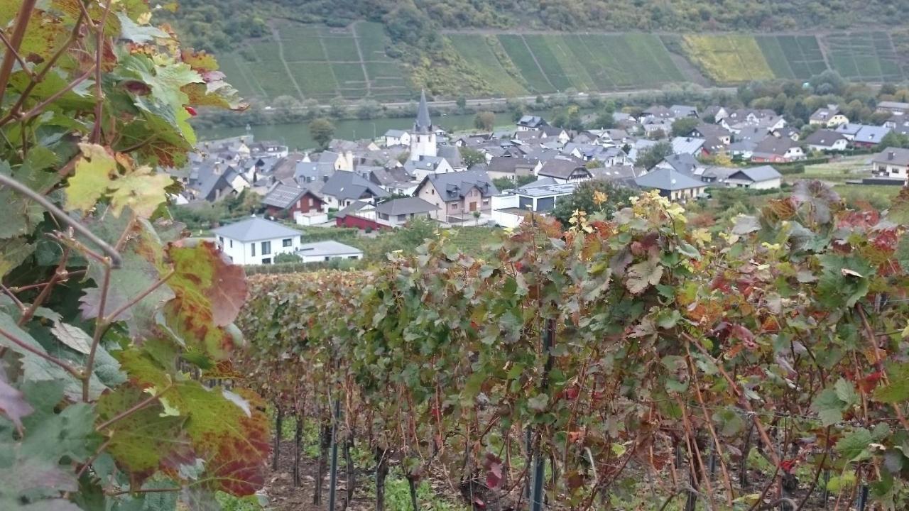 Ferienwohnungen Am Bruttiger Moselsteig ภายนอก รูปภาพ